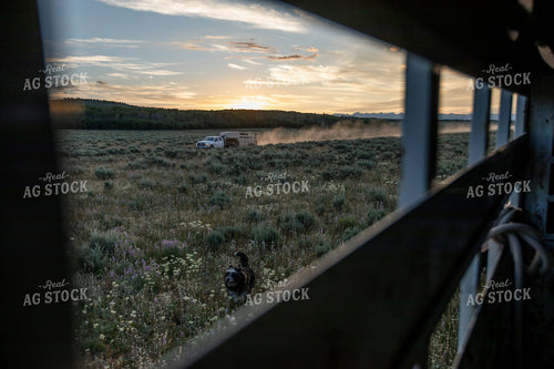 Livestock Trailer in Western Landscape 304015