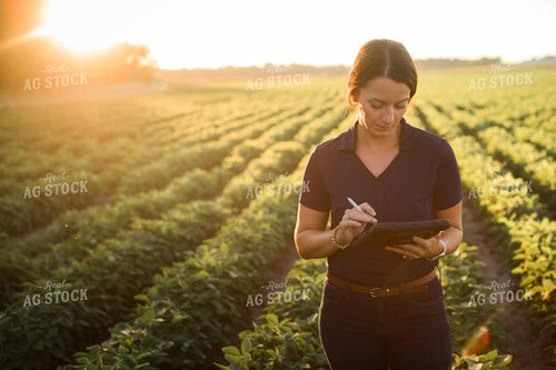 Agronomist or Farmer in Soybean Field with Tablet 6092