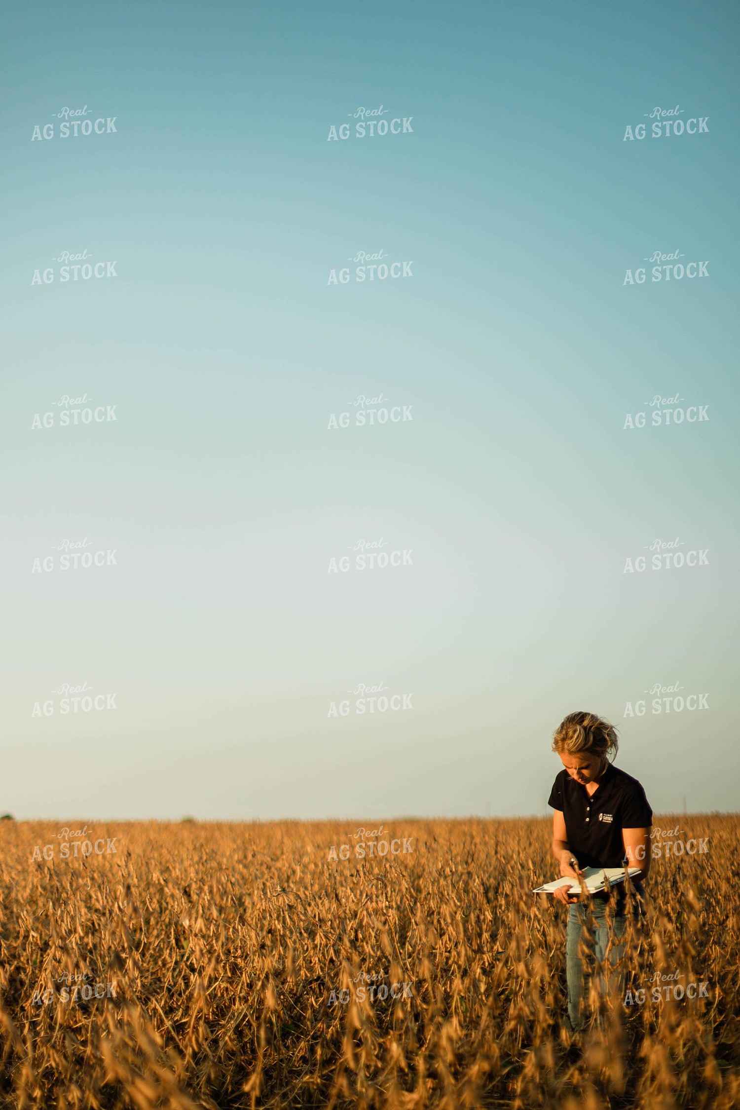 Female Agronomist Checking Beans 8304