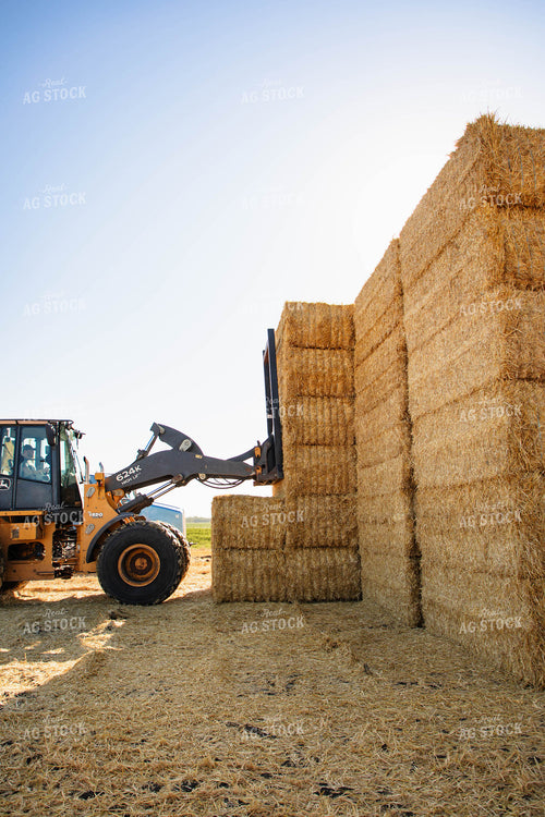 Stacking Wheat Straw Bales 152577