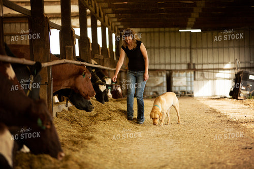 Dairy 2730