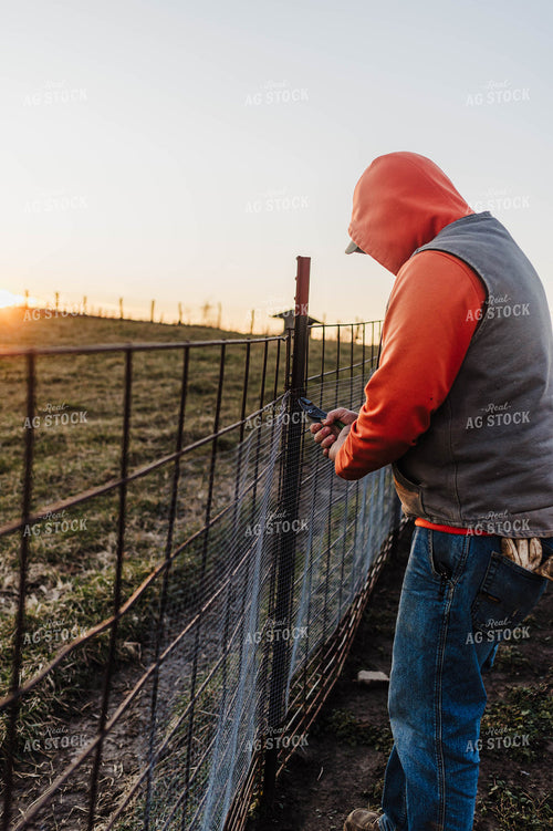 Farmer Fixing Fence 115141