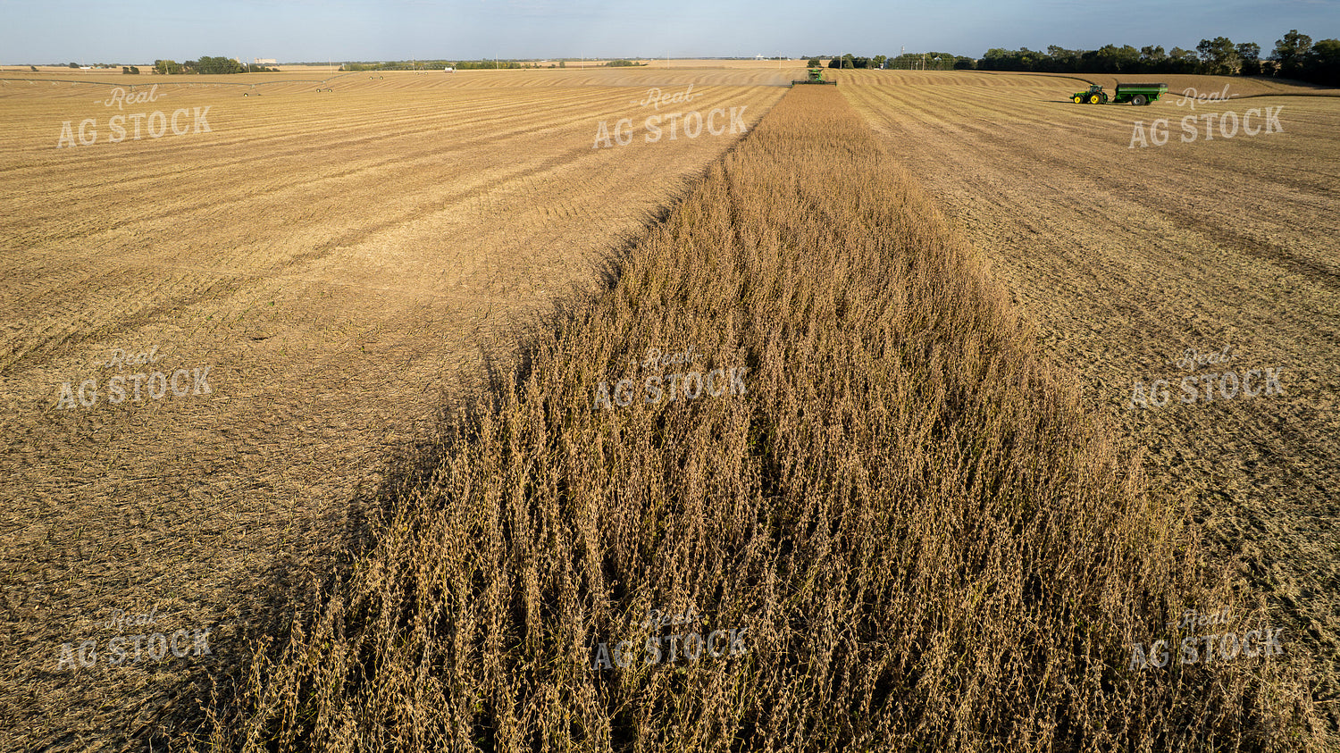 Aerial of Harvest 65967