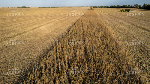 Aerial of Harvest 65967