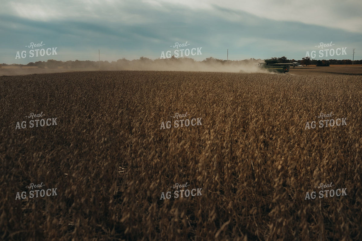 Combine Harvesting Dried Soybeans Across a Wide Open Field 400039