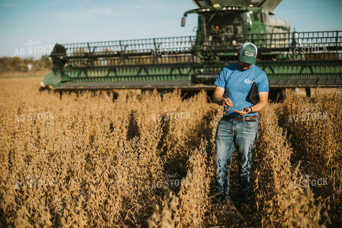 Farmer Examining Soybean Pods 7158