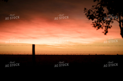 Rural Sunset 135132