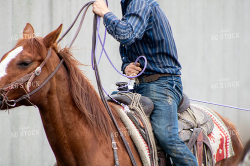 Rancher Roping Cattle 214168