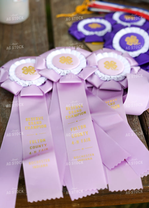 4-H Ribbons 160143