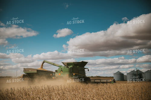 Soybean Harvest 6882