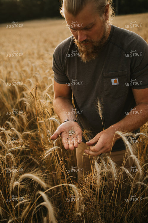 Farmer in Rye Field 5988