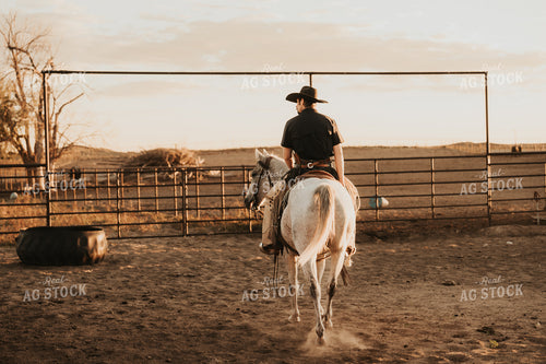 Cowboy on Horseback 61198