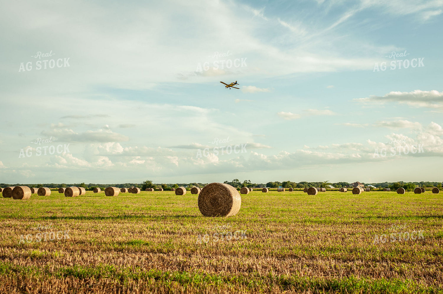 Round Hay Bale Landscape with Crop Duster Flying Overhead 59005