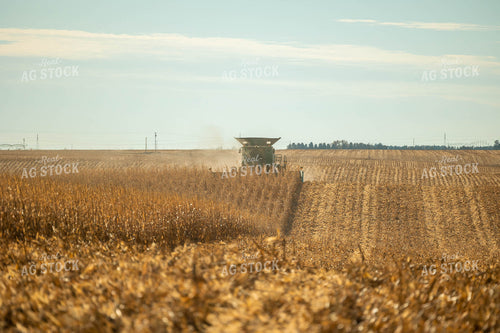 Corn Harvest 114000