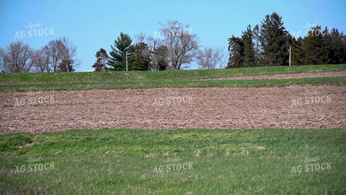 Planting on Hilly Ground - 347