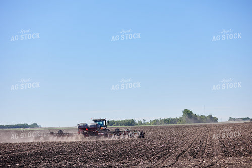 Planting 216015
