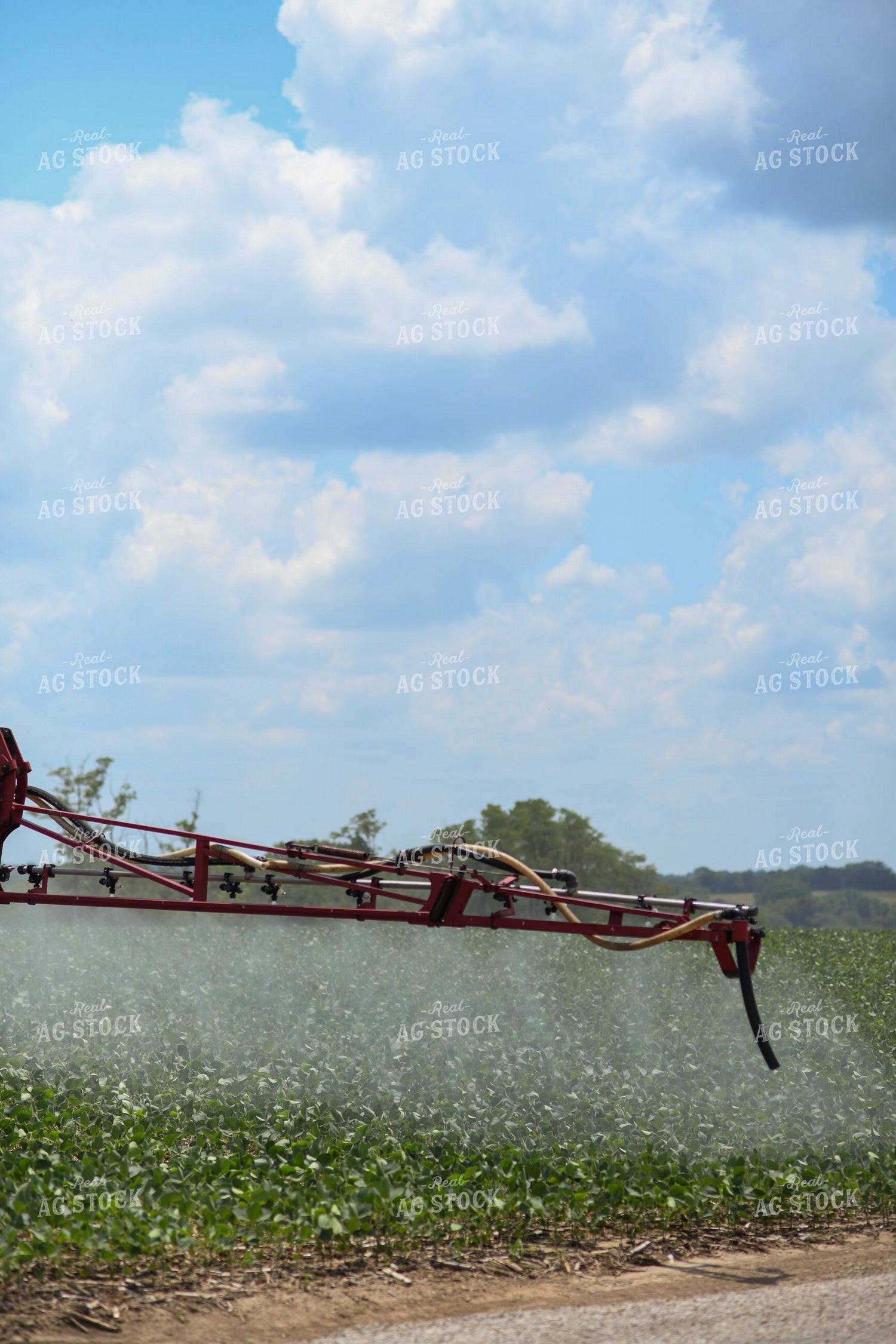 Spraying 191221