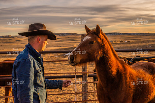 Rancher with Horse 299091