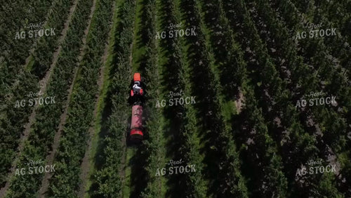 Spraying Apple Orchard 146048
