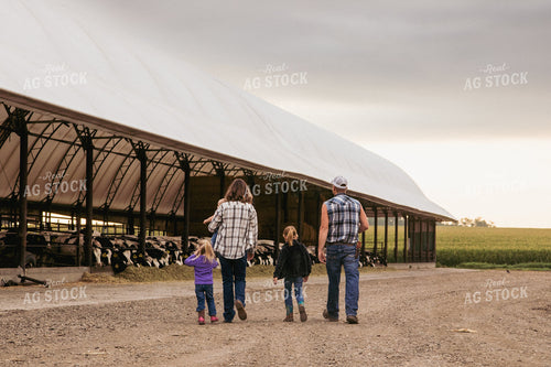 Farm Family Walking to Open Air Cattle Barn 67379