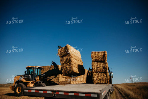 Loading Straw Bales 152192
