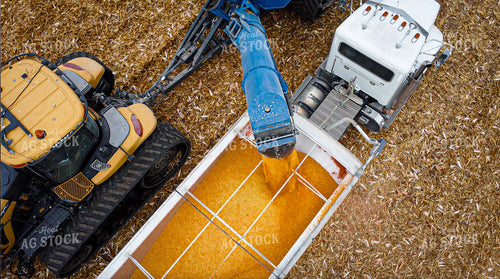 Corn Harvest 273020