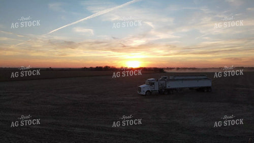 Aerial of Soybean Harvest with Trucks and Combine at Sunset 7380
