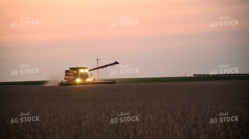 Combine Harvesting Soybeans at Sunset 25786