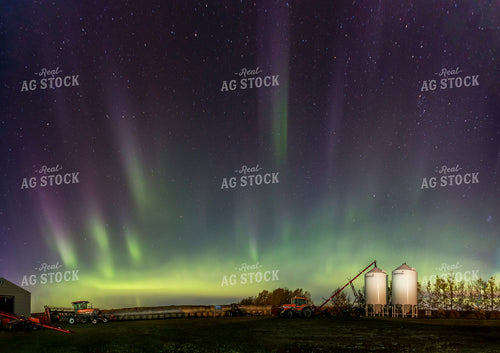 Northern Lights Shine Above Farmstead 138017