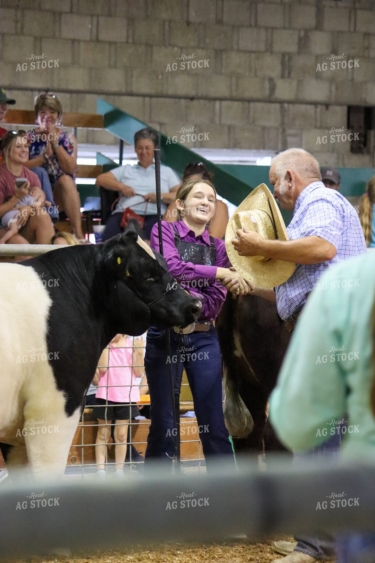Farm Kid Showing Cow 109058
