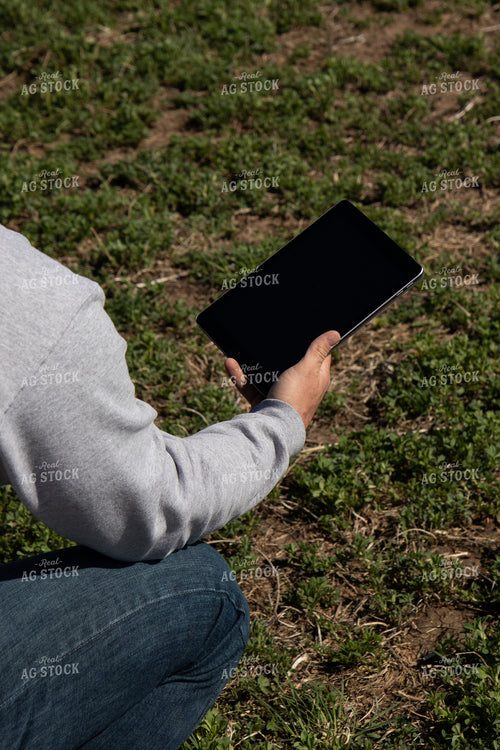 Farmer with iPad in Cover Crops 67209
