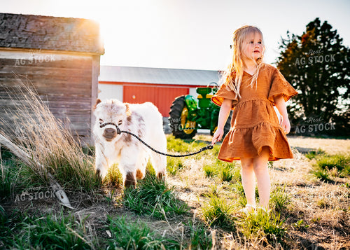 Farm Kid Walking Calf 56581