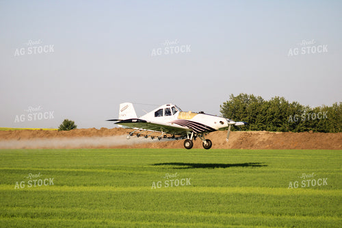 Crop Duster 187005