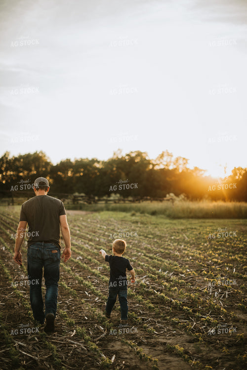 Farmer and Son Walking Through Field 6906