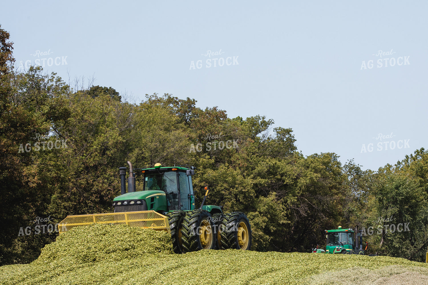 Packing Silage 272008