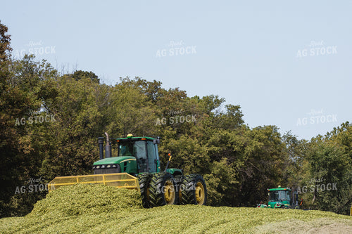 Packing Silage 272008