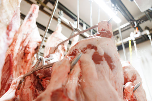 Meat Processing Facility 295210