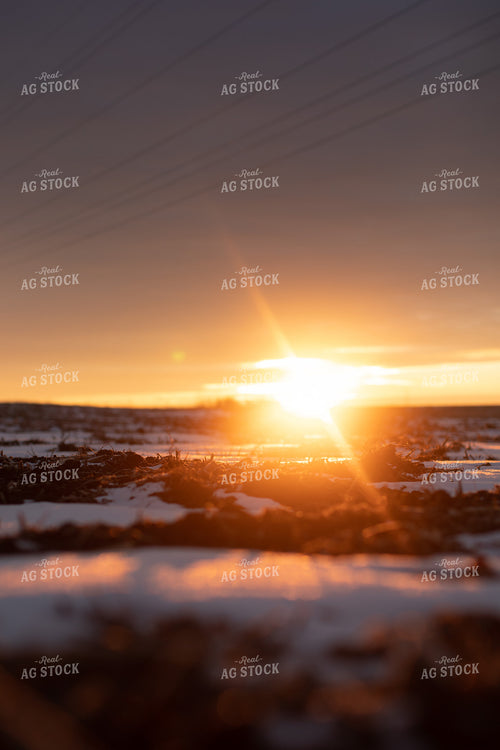 Sunrise Over Snowy Tilled Corn Field 3802