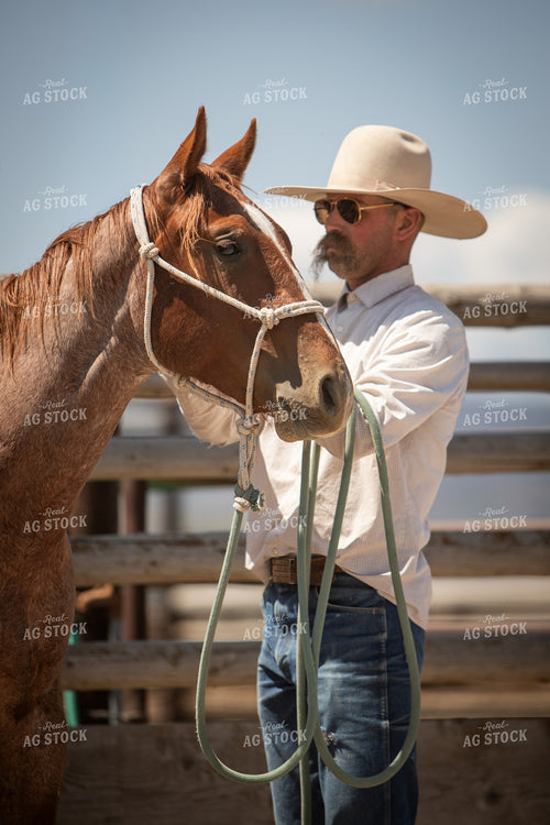Training Colts 78237
