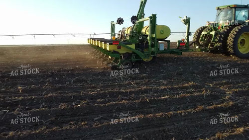Cutting Rye 223001