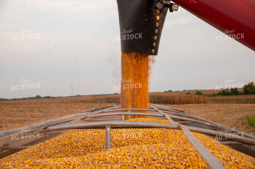 Grain Cart Unloading into Semi 25476