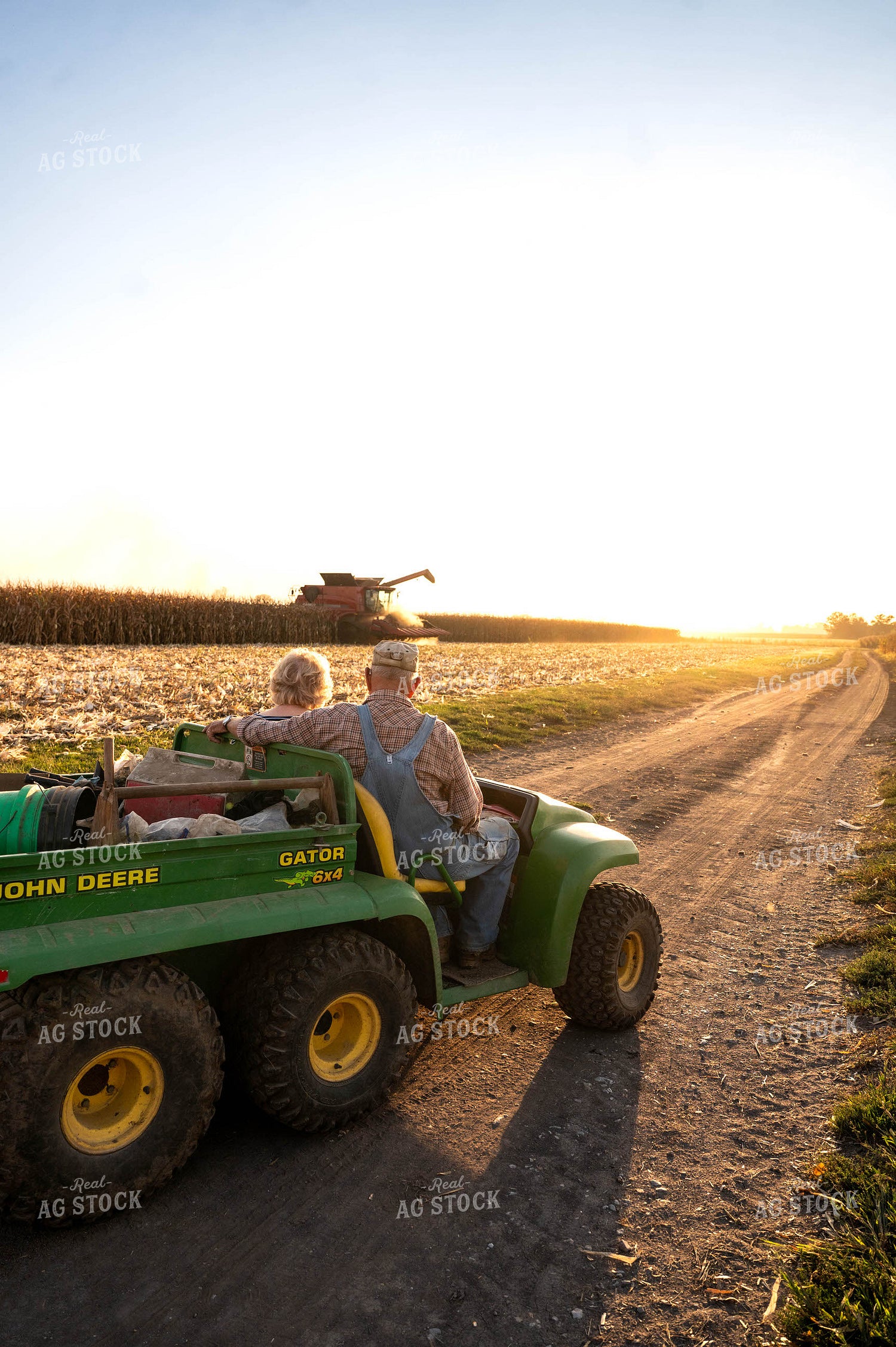 Seasoned Generation Watching Corn Harvest 115904