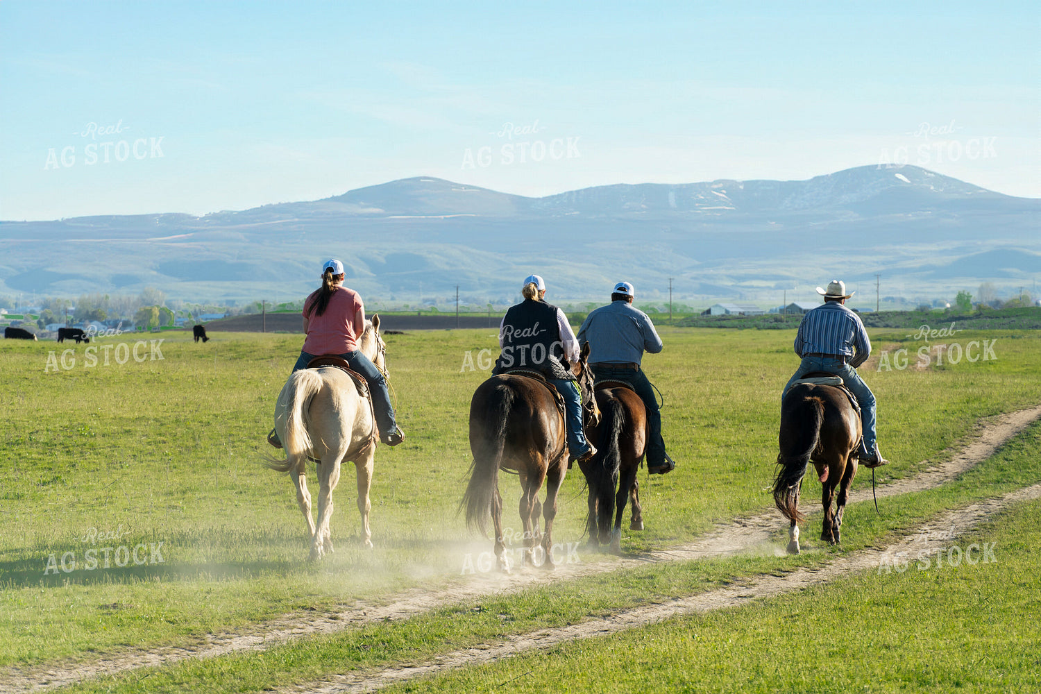 Ranchers on Horseback 65229
