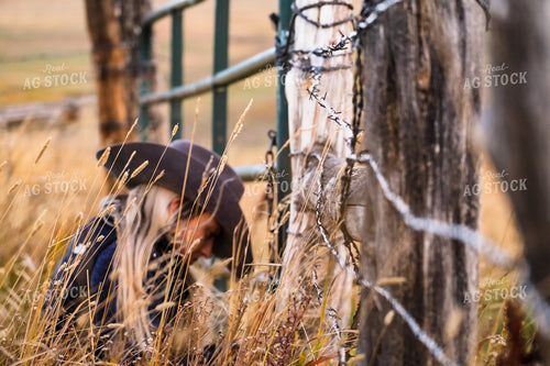 Female Rancher Fixing Fence 163004