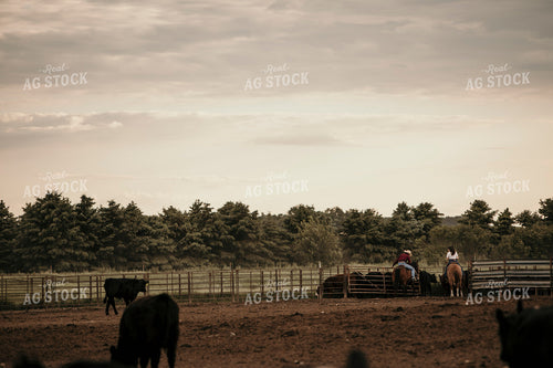 Feedyard 3073