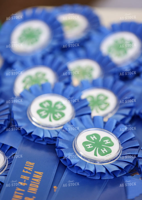 4-H Ribbons 160219