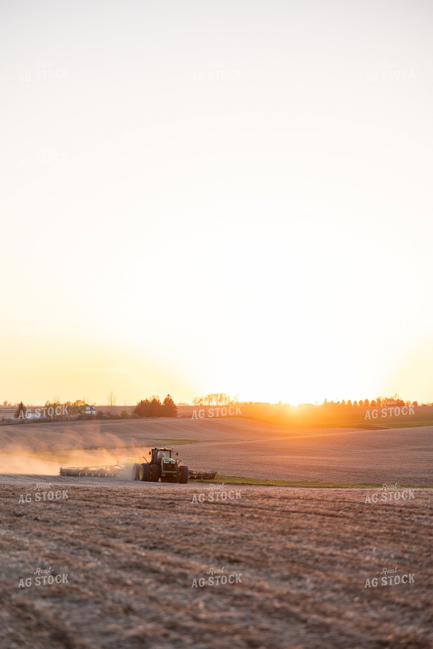Planting 215056