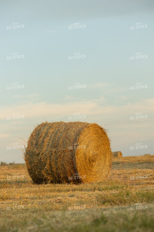 Hay Bale in Field 143008