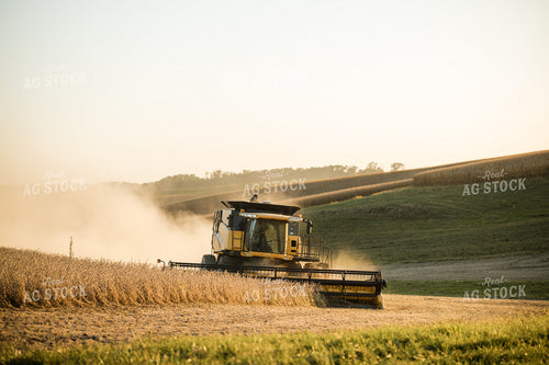 Soybean Harvest 215133