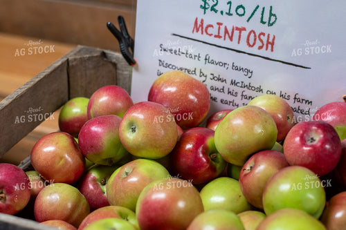 Apples 50430